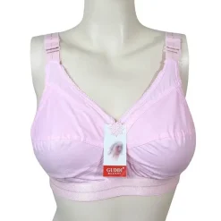 guddi bra price in bangladesh