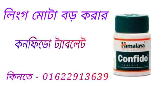 এস ই ও এর কাজ কি