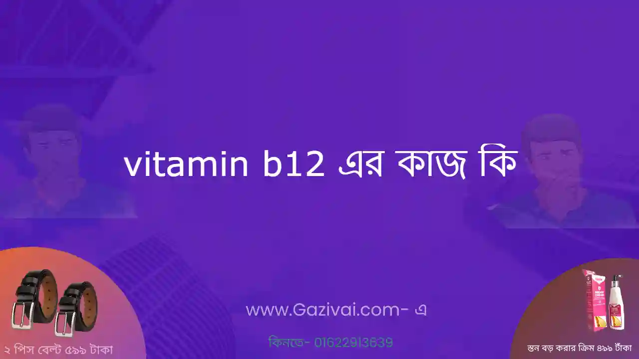 vitamin b12 এর কাজ কি