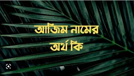 আজিম নামের অর্থ কি