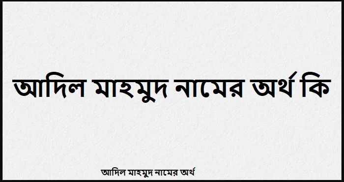 আদিল মাহমুদ নামের অর্থ কি