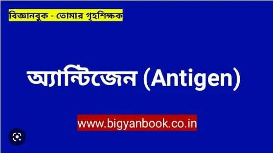 এন্টিজেন এর কাজ কি