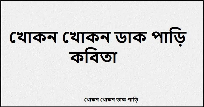 খোকন খোকন ডাক পাড়ি