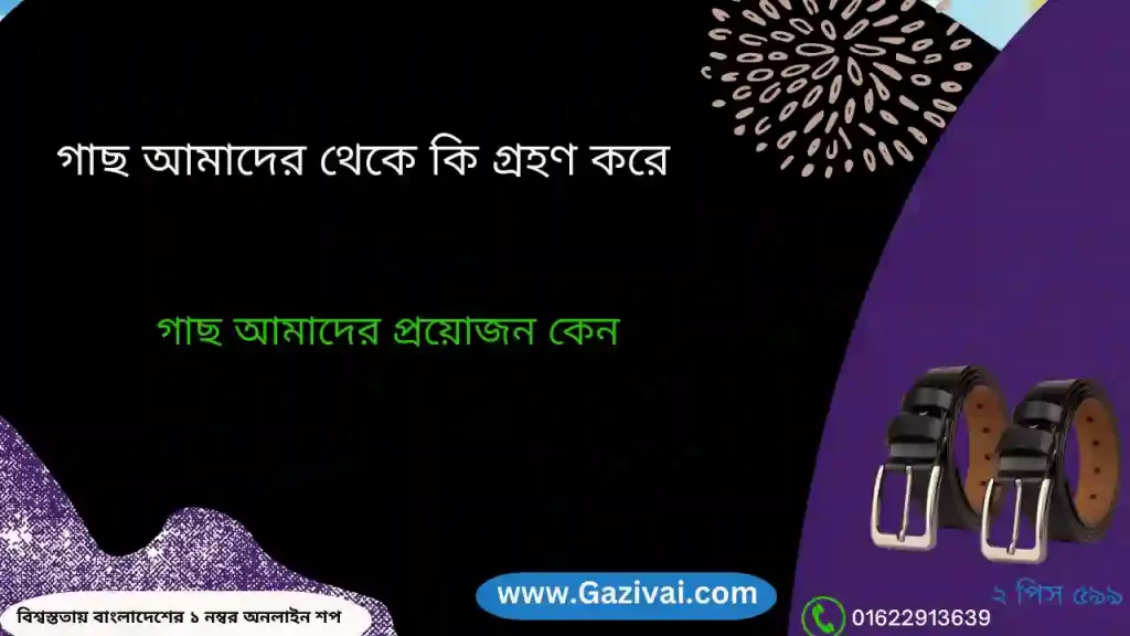 গাছ আমাদের থেকে কি গ্রহণ করে
