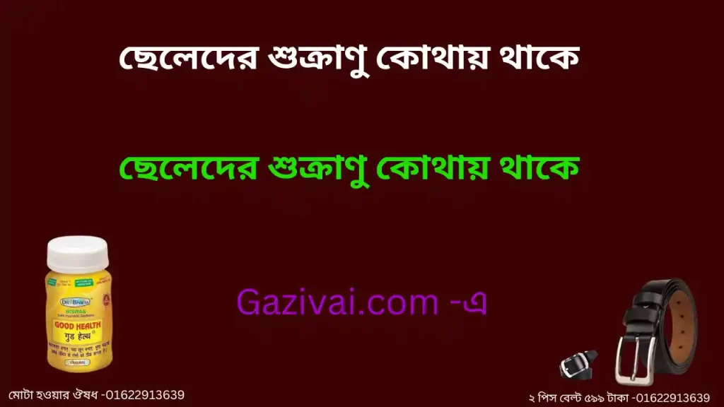 ছেলেদের শুক্রাণু কোথায় থাকে