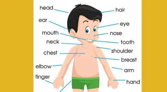 পাছা english translation