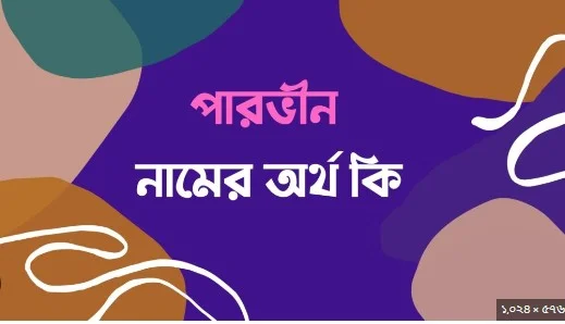 পারভিন নামের অর্থ কি
