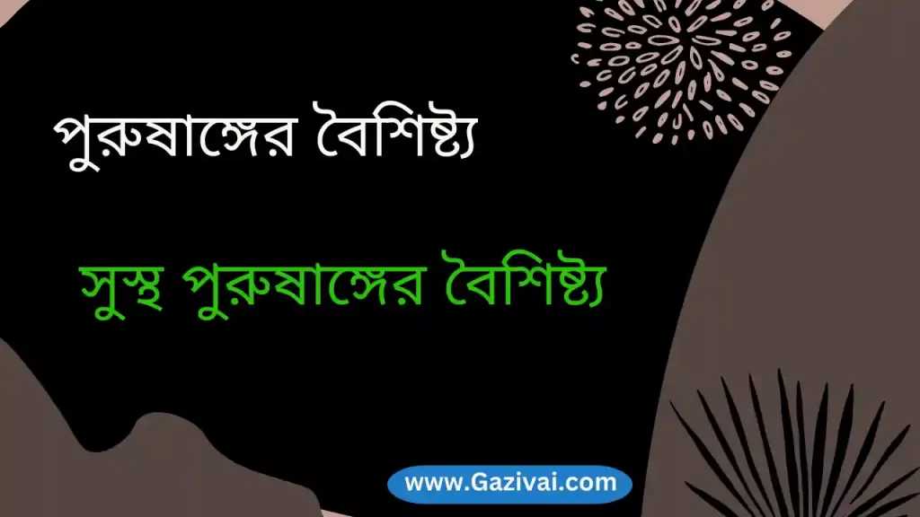 পুরুষাঙ্গের বৈশিষ্ট্য