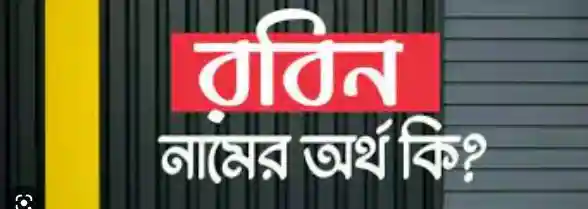 রবিন নামের অর্থ কি