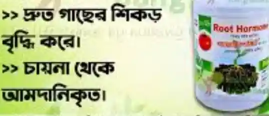 রুট হরমোন পাউডার দাম
