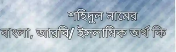 শহিদুল নামের অর্থ কি