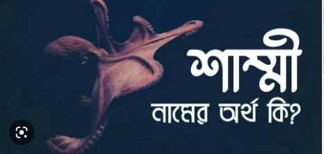 শাম্মী নামের অর্থ কি