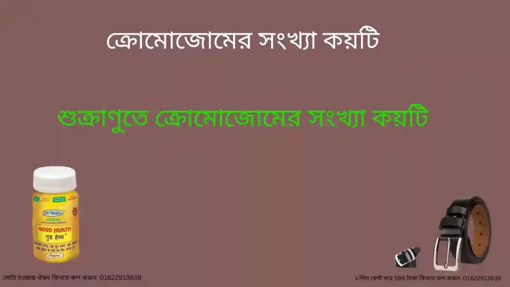 শুক্রাণুতে ক্রোমোজোমের সংখ্যা কয়টি
