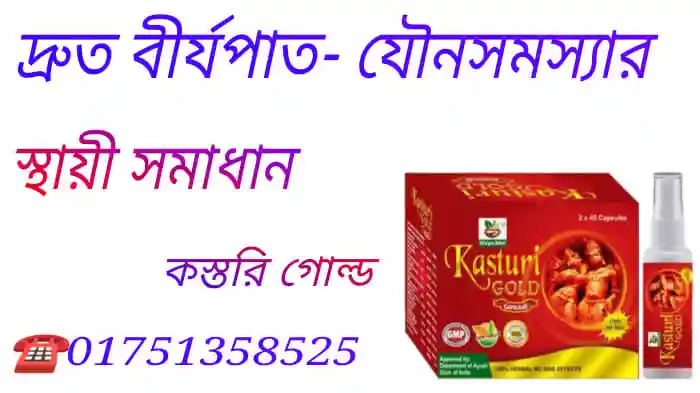 সার্চ ইঞ্জিন এর কাজ কি