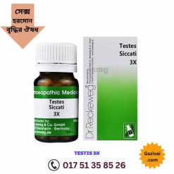 সেক্সে বৃদ্ধির খাবার কি