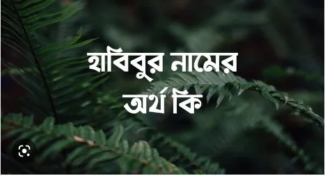 হাবিবুর রহমান নামের অর্থ কি