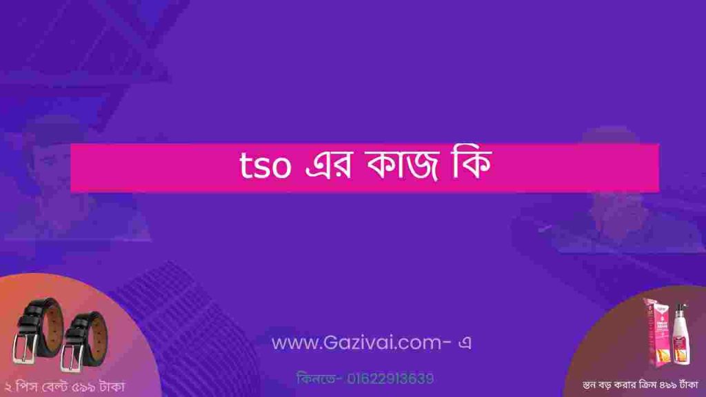 tso এর কাজ কি