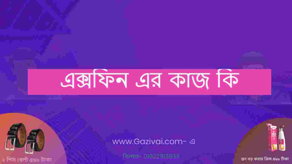 এক্সফিন এর কাজ কি
