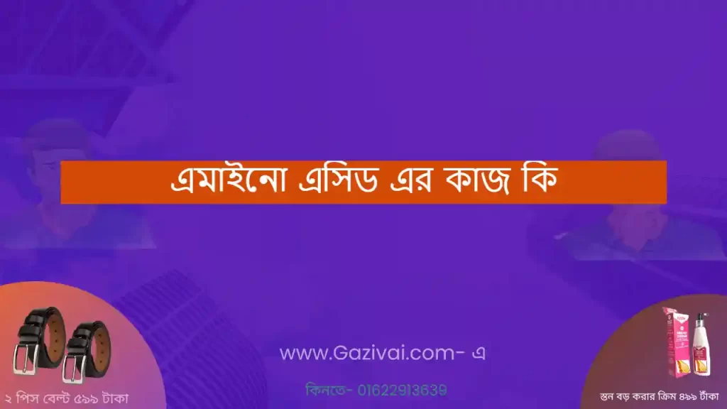 এমাইনো এসিড এর কাজ কি