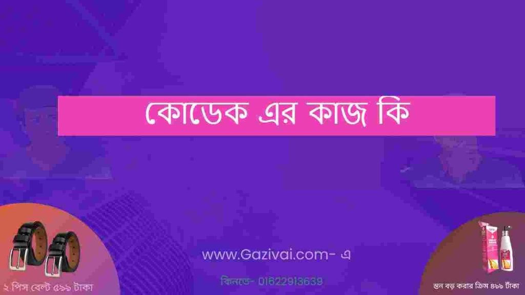 কোডেক এর কাজ কি