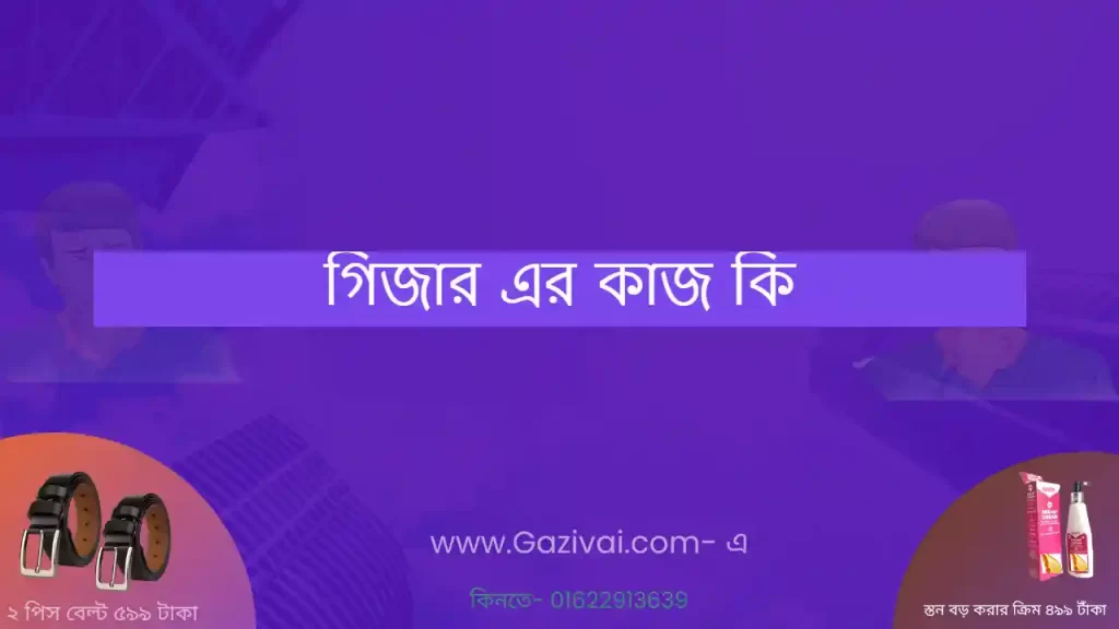 গিজার এর কাজ কি