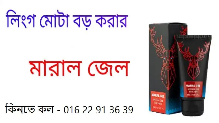 চৌকিদার এর কাজ কি