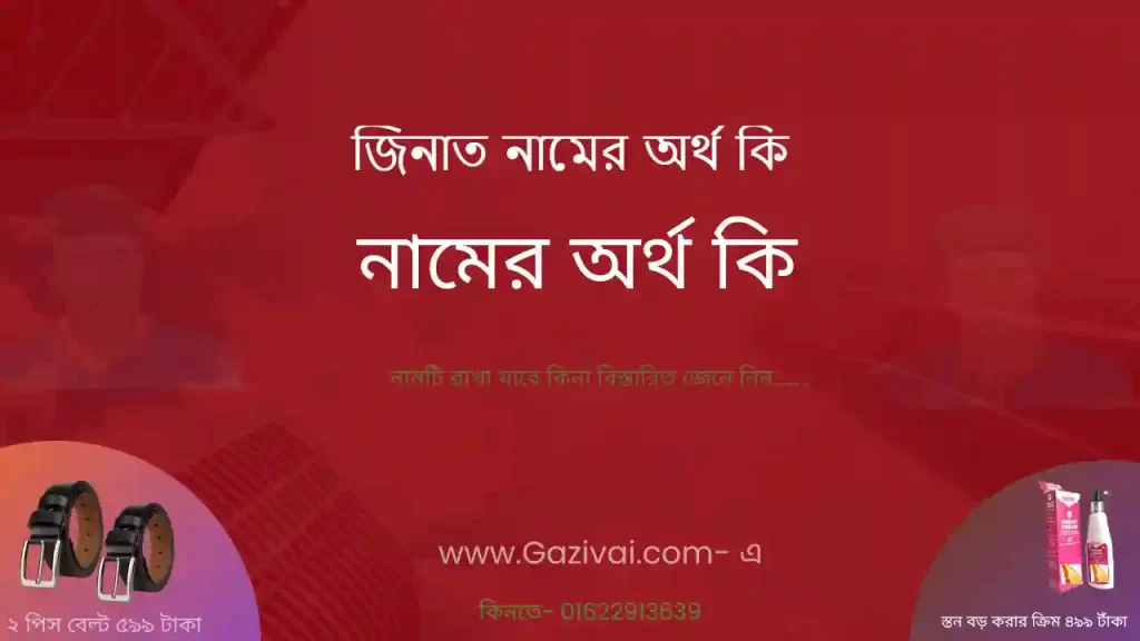 জিনাত নামের অর্থ কি