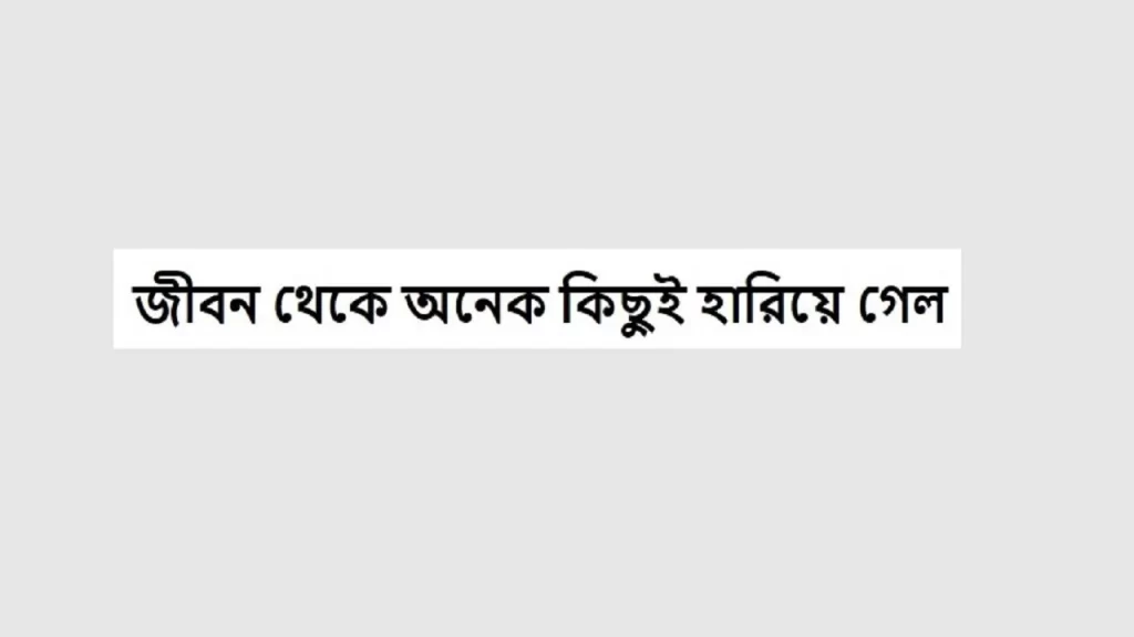 জীবন থেকে অনেক কিছুই হারিয়ে গেল