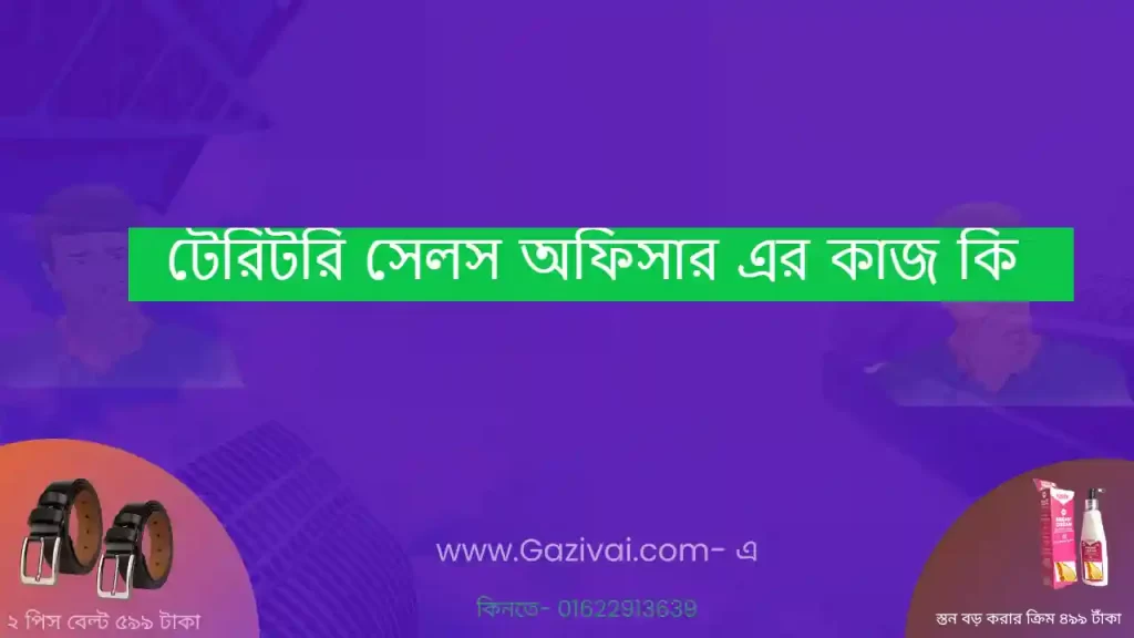 টেরিটরি সেলস অফিসার এর কাজ কি