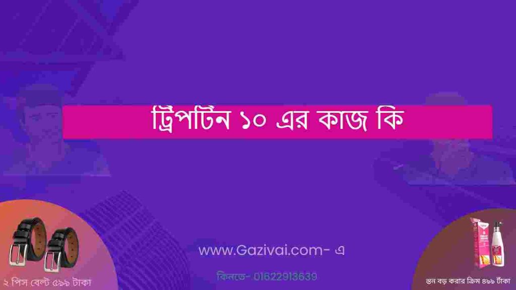 ট্রিপটিন ১০ এর কাজ কি