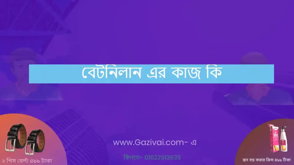 বেটনিলান এর কাজ কি