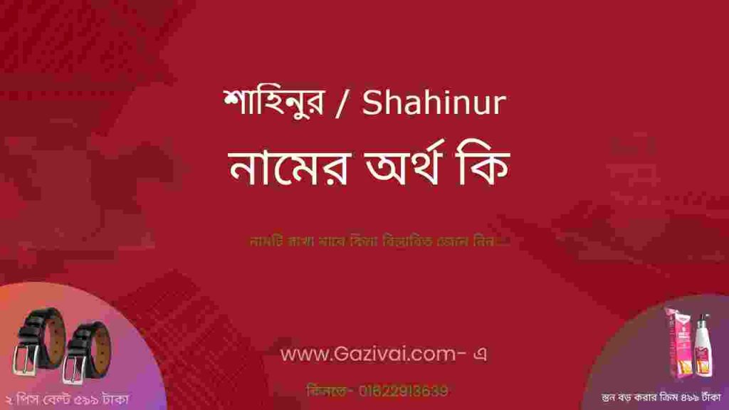 শাহিনুর নামের অর্থ কি