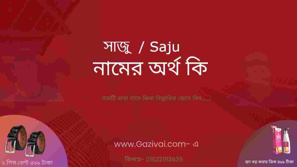 সাজু নামের অর্থ কি