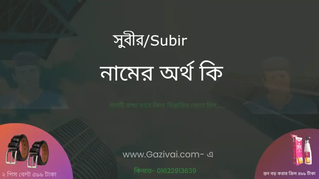 সুবীর নামের অর্থ কি