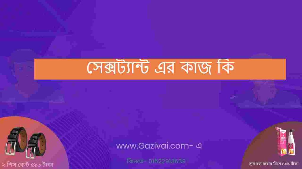 সেক্সট্যান্ট এর কাজ কি