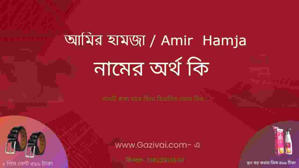 আমির হামজা নামের অর্থ কি