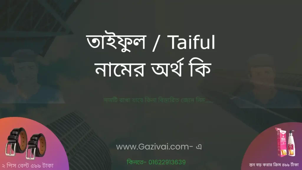 তাইফুল নামের অর্থ কি