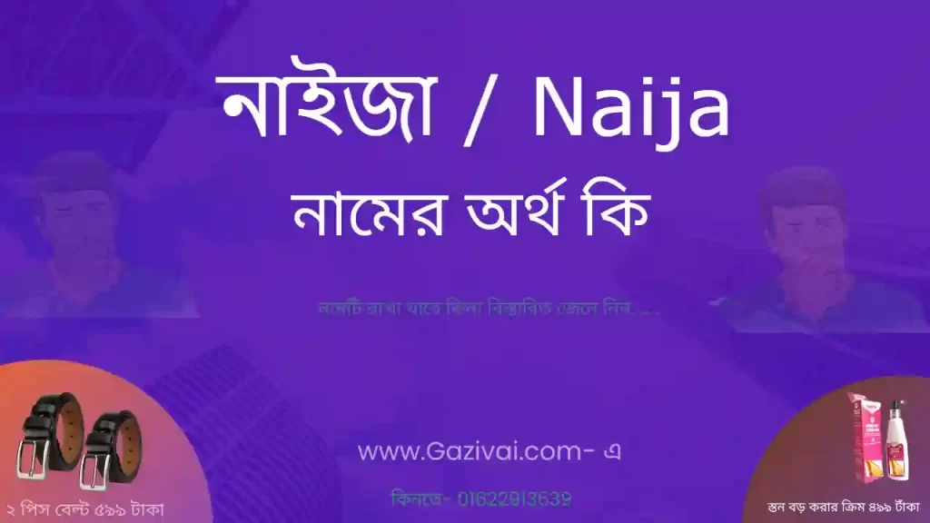 নাইজা নামের অর্থ কি