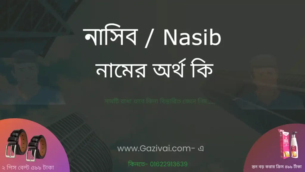 নাসিব নামের অর্থ কি