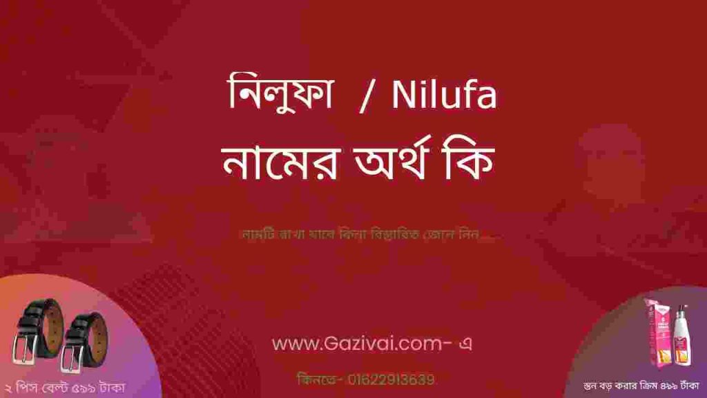 নিলুফা নামের অর্থ কি