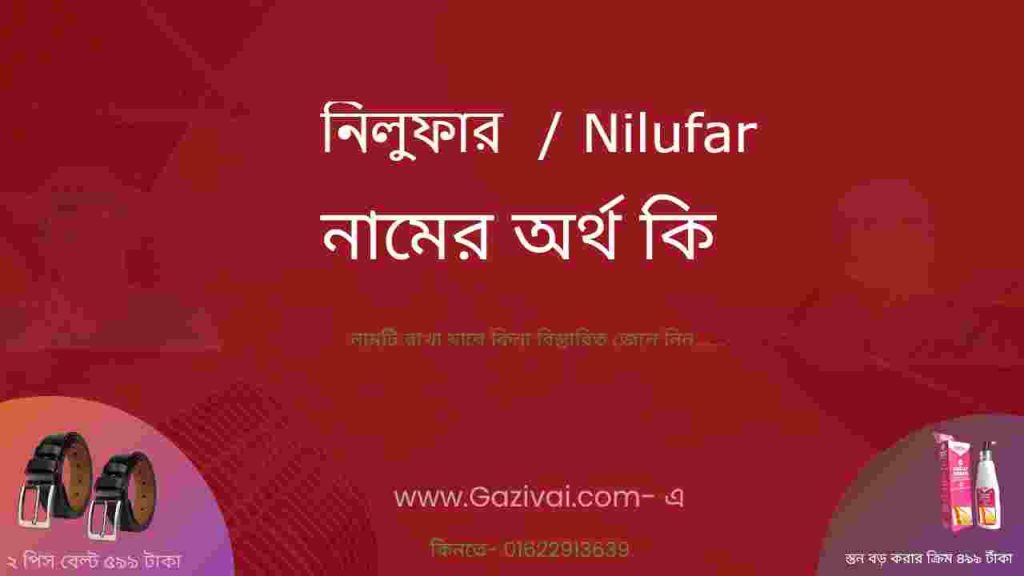 নিলুফার নামের অর্থ কি