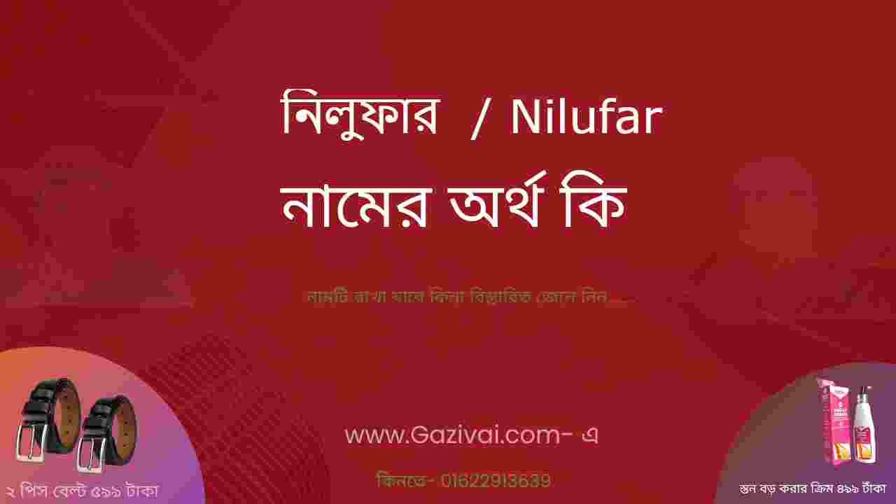 নিলুফার নামের অর্থ কি