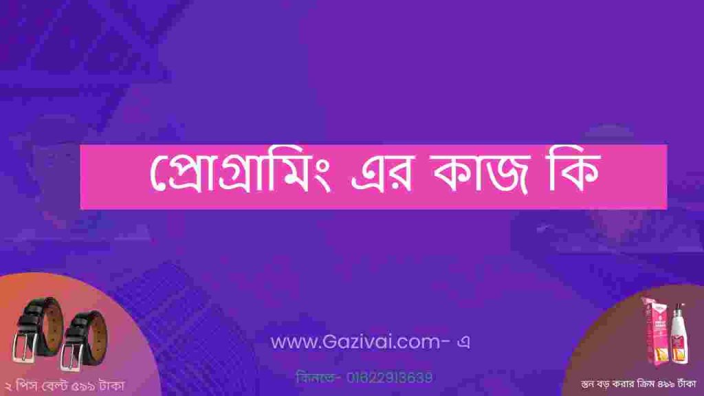 প্রোগ্রামিং এর কাজ কি