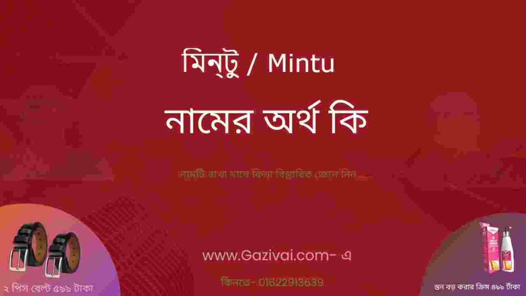 মিন্টু নামের অর্থ কি