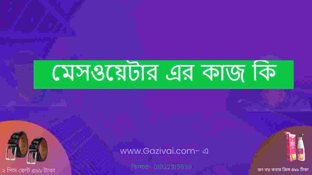 মেসওয়েটার এর কাজ কি