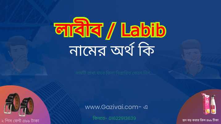 লাবীব নামের অর্থ কি