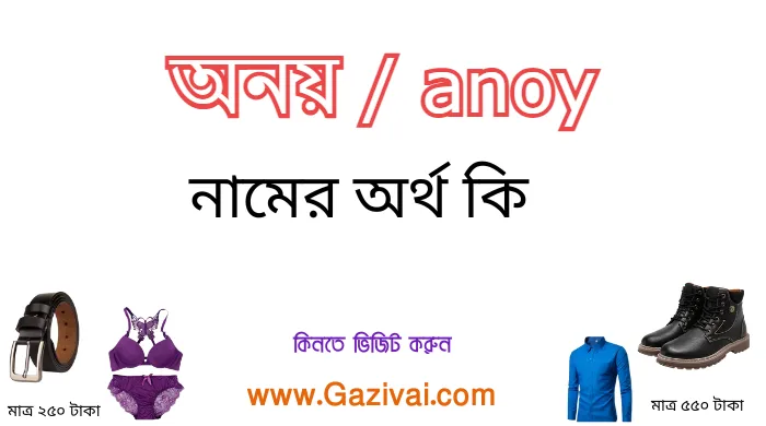 অনয় নামের অর্থ কি