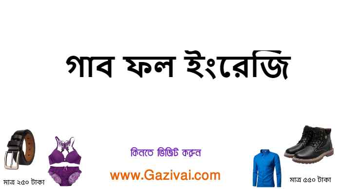 গাব ফল ইংরেজি