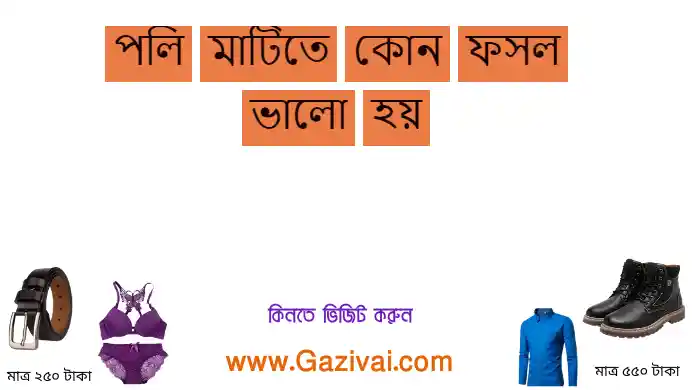 পলি মাটিতে কোন ফসল ভালো হয়