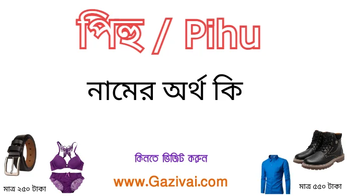 পিহু নামের অর্থ কি